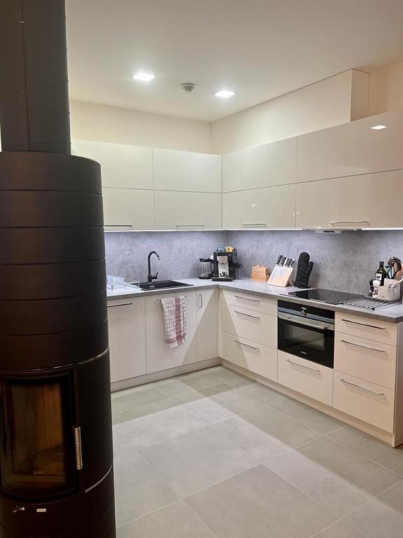 Kuchyň nebo kuchyňský kout v ubytování Dolní Morava- Apartmán v Prostření Lipce