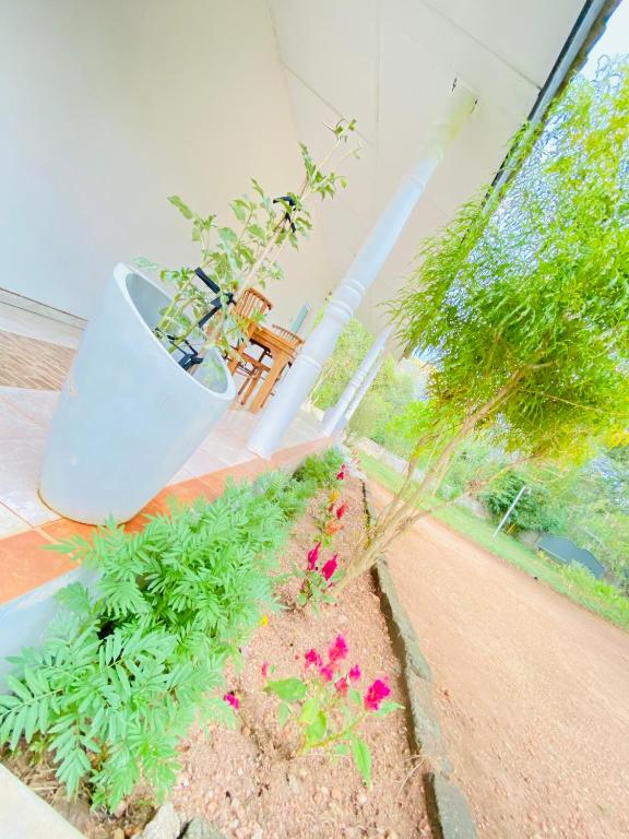 Zahrada ubytování Ima Villa Sigiriya
