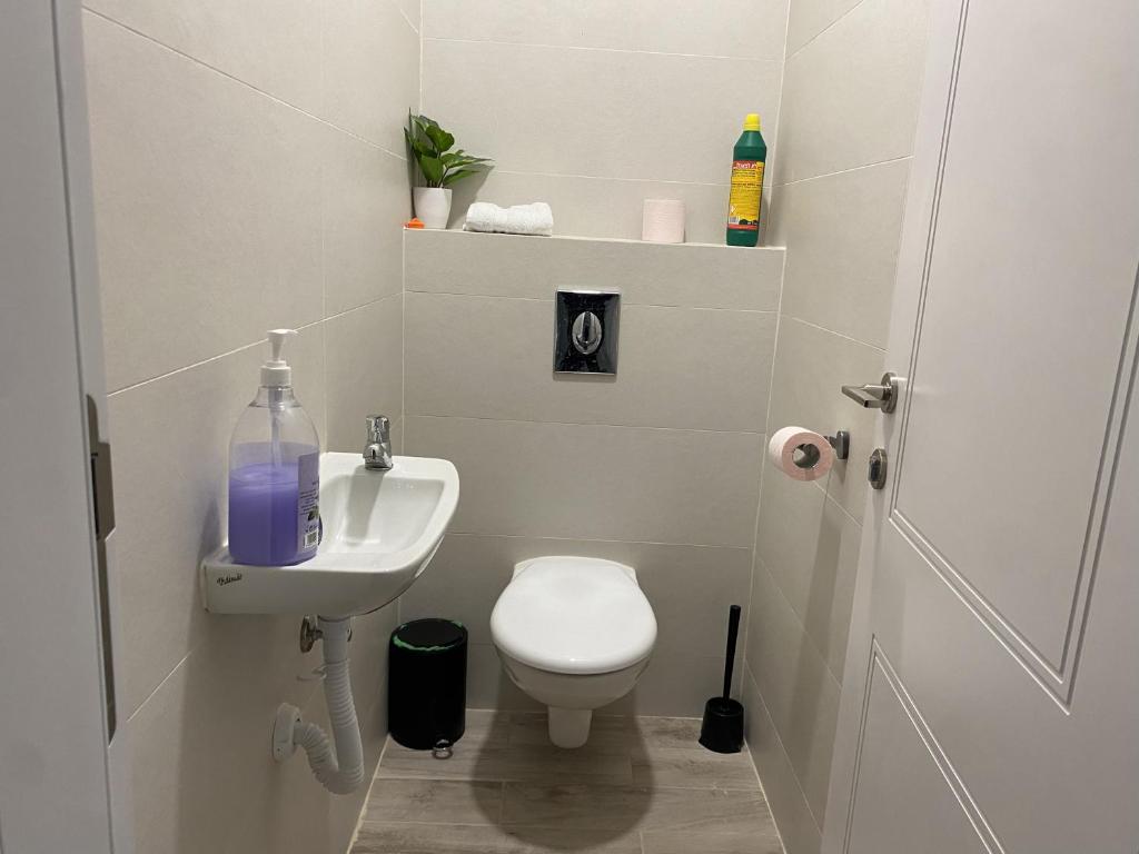 a small bathroom with a toilet and a sink at וילת הנחלה למשפחות Nahala Villa in Shadmot Devora