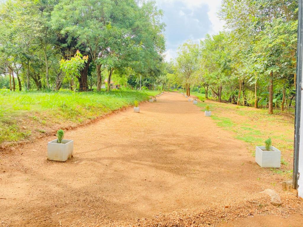 Zahrada ubytování Ima Villa Sigiriya
