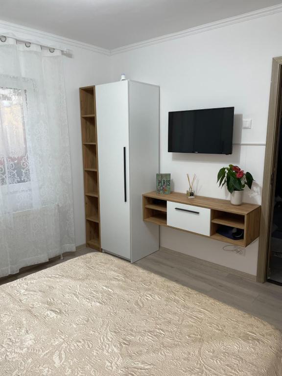 TV a/nebo společenská místnost v ubytování Casa cu curte Navodari