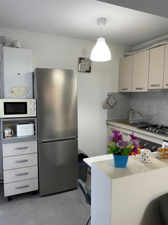 Kuchyň nebo kuchyňský kout v ubytování Casa cu curte Navodari