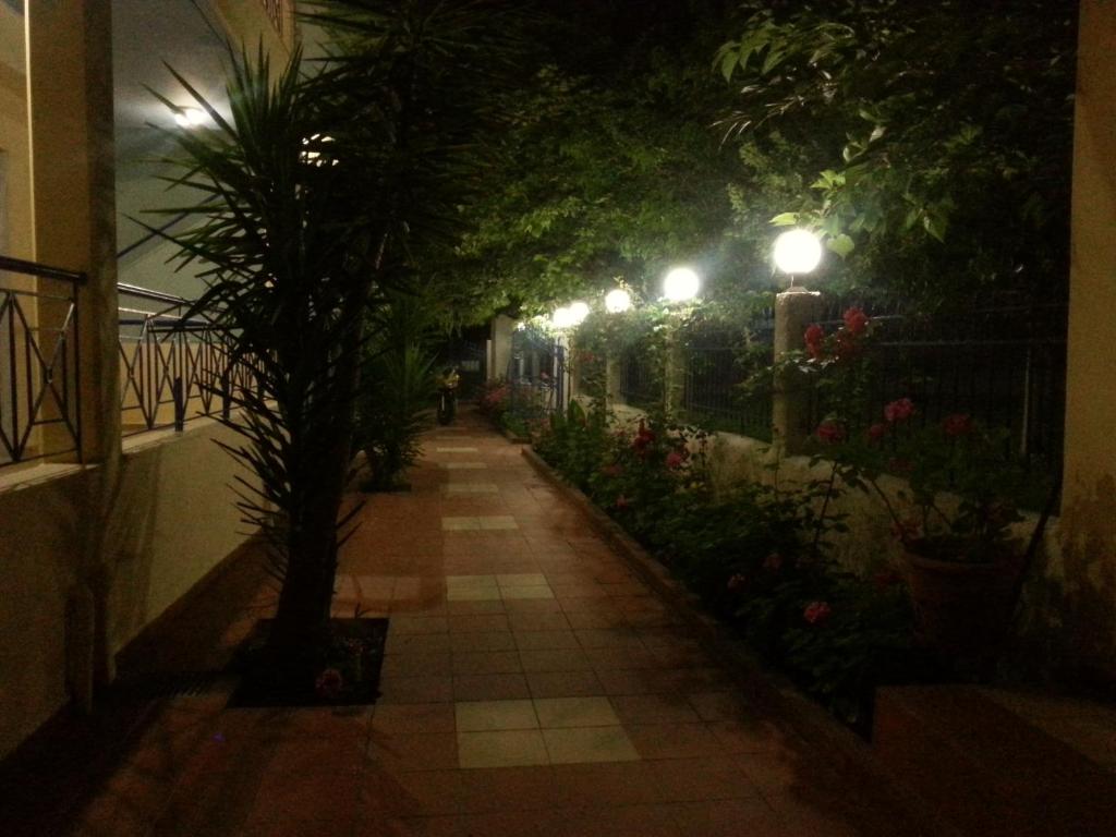Zahrada ubytování Hotel Giorgio