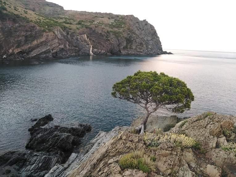 Fotografie z fotogalerie ubytování San Jordi Tossa de Mar v destinaci Tossa de Mar