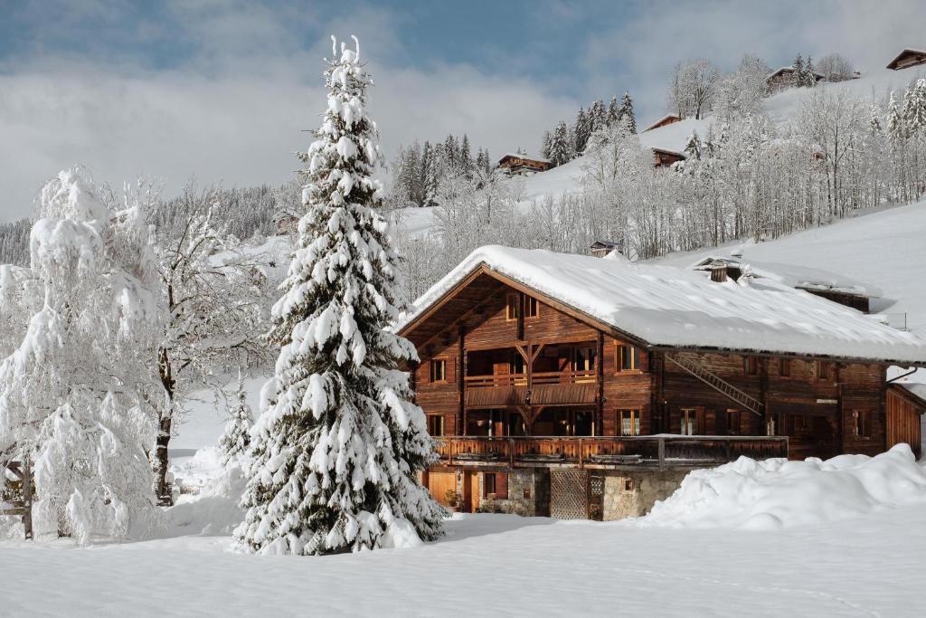 a log cabin in the snow with a christmas tree at La Ferme du Var in La Clusaz