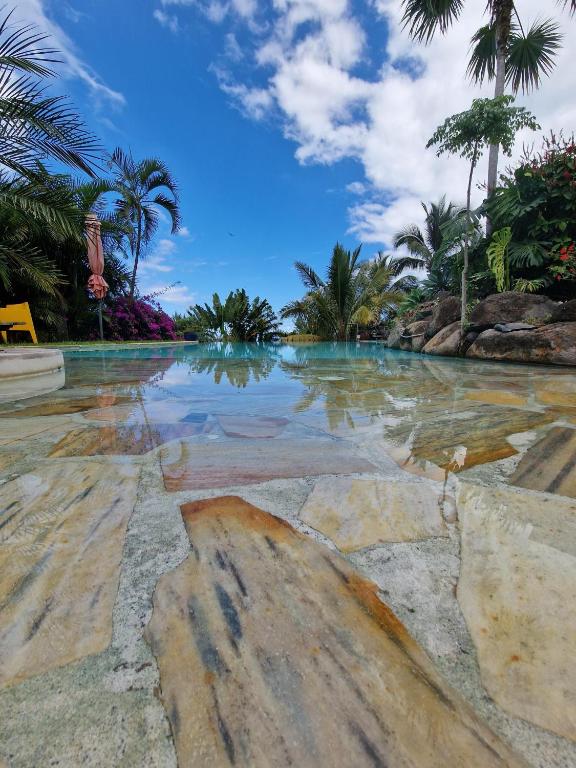 una piscina en un complejo con palmeras en Maryse’ House, en Les Avirons