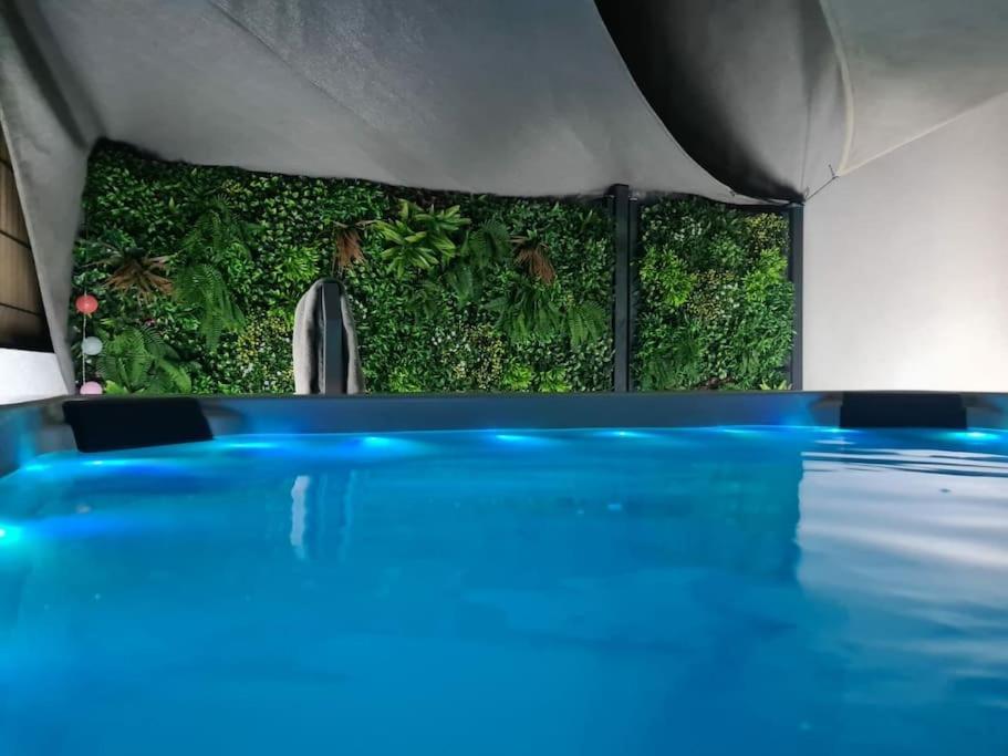 una piscina in una stanza con parete verde di T3 avec jacuzzi privé exterieur a Ceyreste