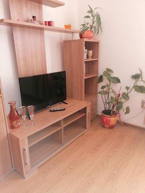 TV a/nebo společenská místnost v ubytování Penzion PALMA