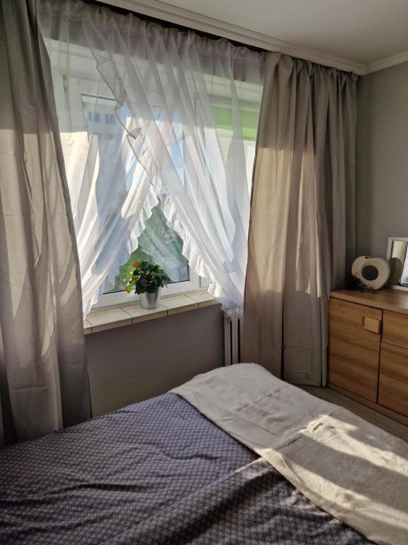 um quarto com uma cama e uma janela com cortinas em APARTAMENT - 2 pokoje w Łodzi - blisko Atlas Arena, Zoo, Centrum, Piotrkowska em Lódź