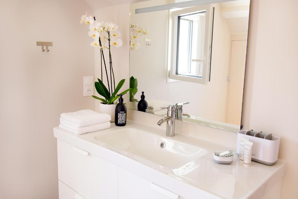a white bathroom with a sink and a mirror at Le Clos des Ecureuils in Saint-Héand
