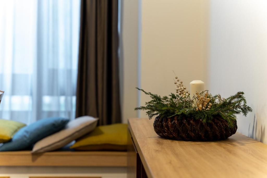 Apartments Kulturni centar Zlatibor - Appartement Met één Slaapkamer