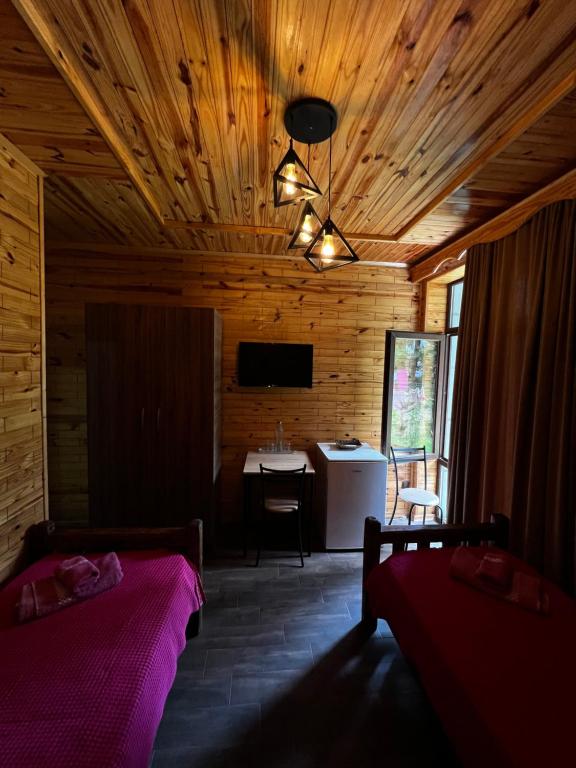 TV a/nebo společenská místnost v ubytování HOTEL MICHEL