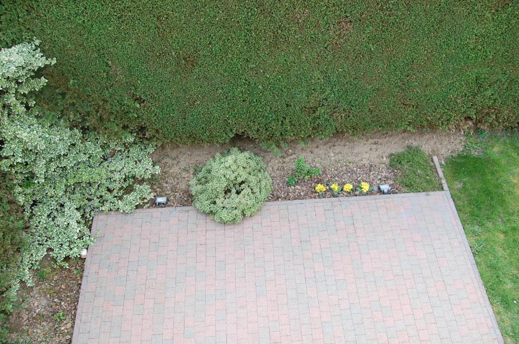 Zahrada ubytování B&B Des Bois Sans Nombre
