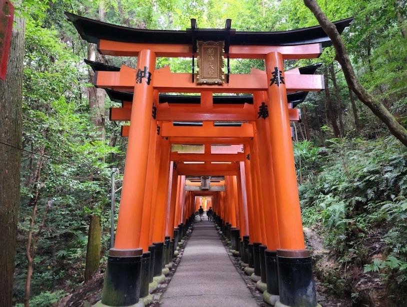 an orange torii gate in the middle of a forest at 澄の宿 京都伏见稻荷別邸 京阪电车伏见稻荷站徒步1分钟 jr电车稻荷站徒步4分钟 in Kyoto