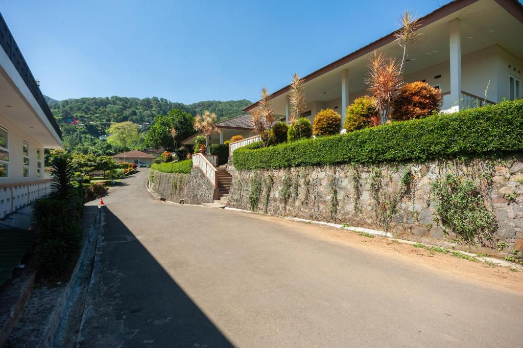 Nespecifikovaný výhled na hory nebo výhled na hory při pohledu z hotelu