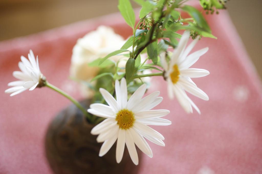 Fotografie z fotogalerie ubytování Sun Urashima Yuki no Sato v destinaci Toba