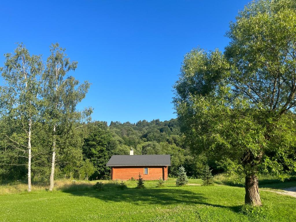 a small cabin in a field with a tree at Bieszczady Domki w Dolinie Sanu in Zatwarnica