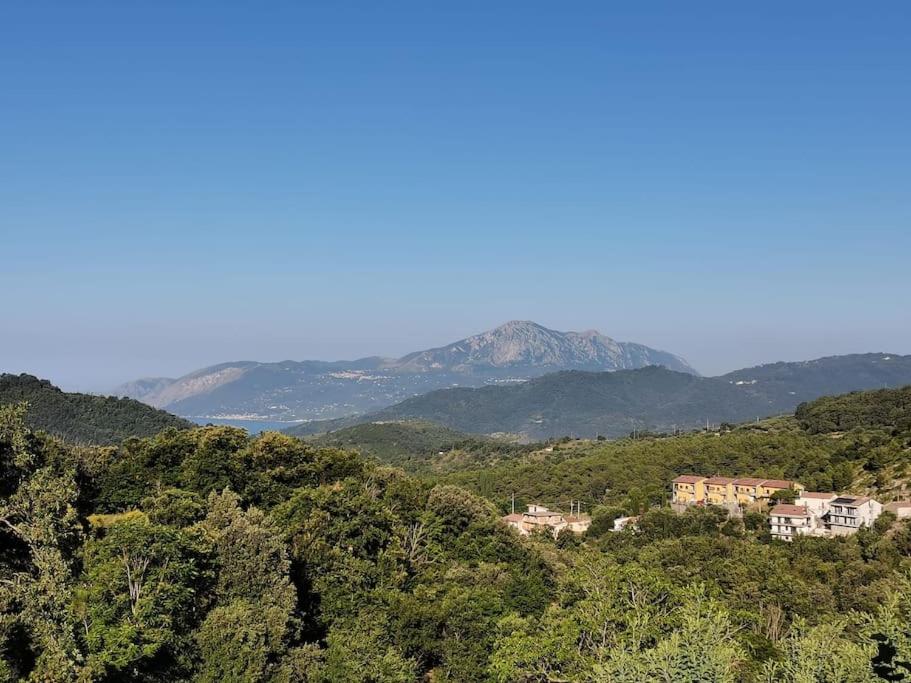 a mountain in the distance with houses and trees at Appartamento "Il Glicine" in Torraca