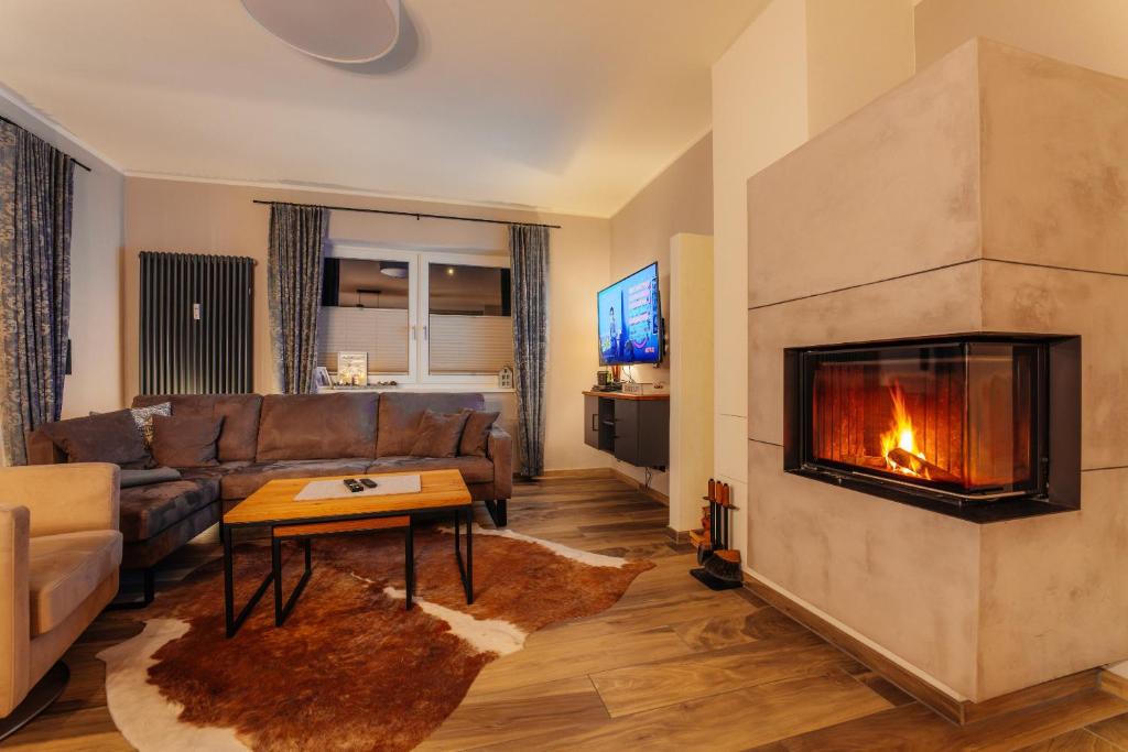 a living room with a couch and a fireplace at Baude VI - Löwenbaude Braunlage in Braunlage