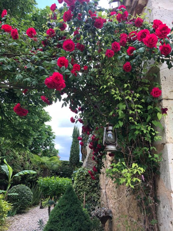un montón de rosas rojas creciendo en una pared en Gascony Guest House, en Castéra-Verduzan