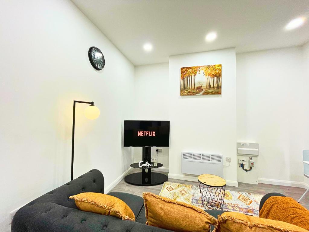 a living room with a couch and a tv at Opal Apartment in Leicester