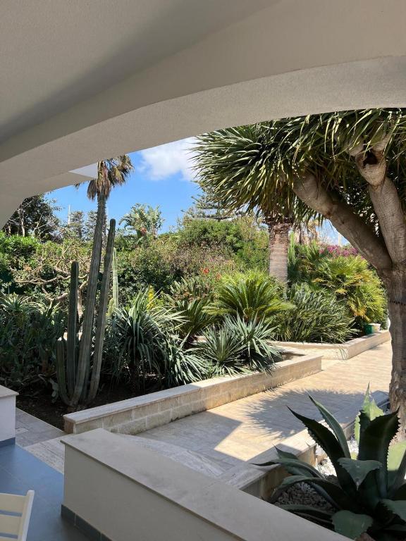 Jardín al aire libre en Archiammare Sea