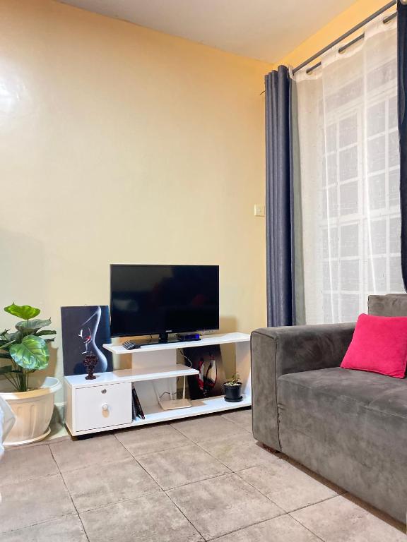 TV a/nebo společenská místnost v ubytování KinAirbnb