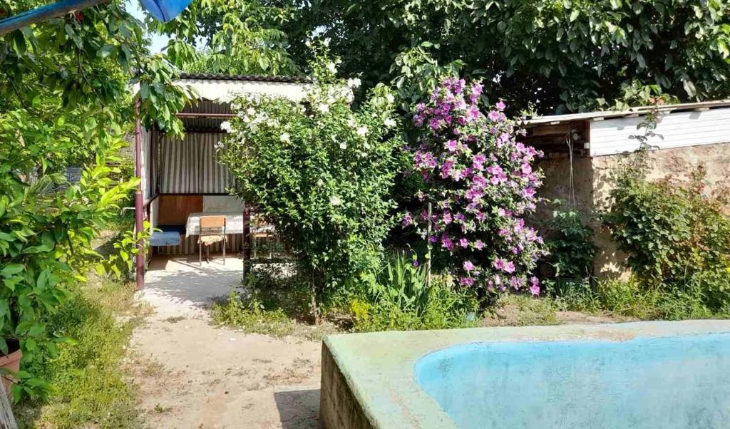un jardín con piscina y flores en Norik guest house, en Garni