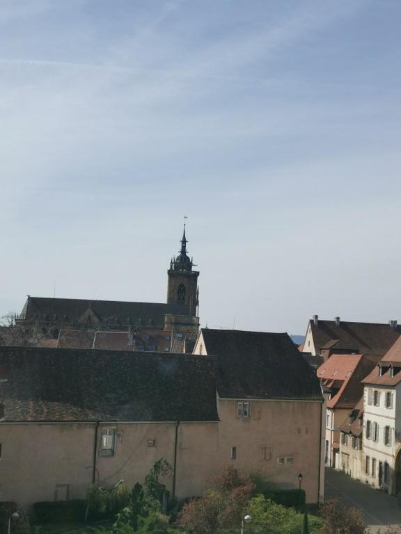 Logement Colmar centre avec Parking – photo 13