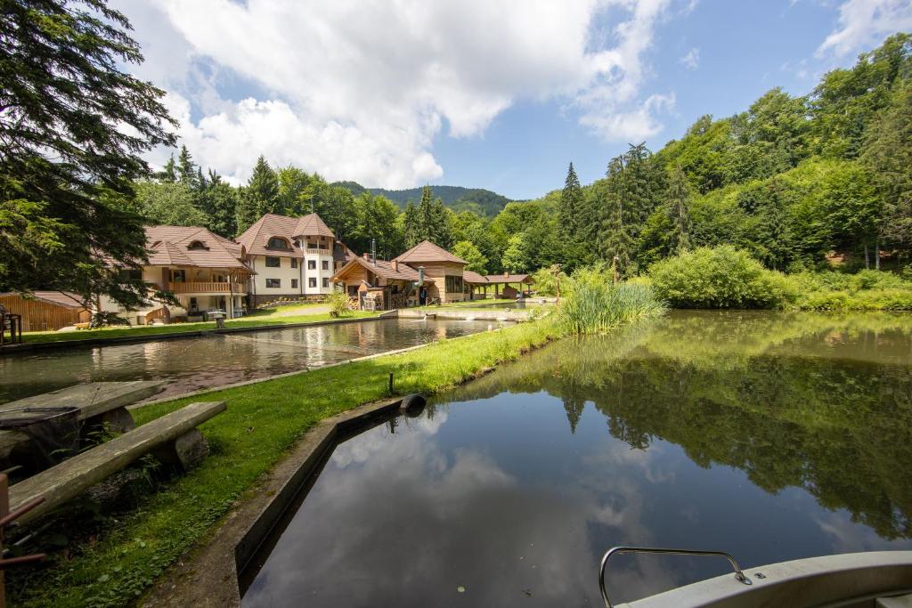 a boat in a river with houses and trees at Complex Sofia&Veruța in Baia-Sprie