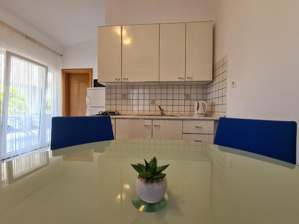 Kuchnia lub aneks kuchenny w obiekcie Apartments Ankora Vir