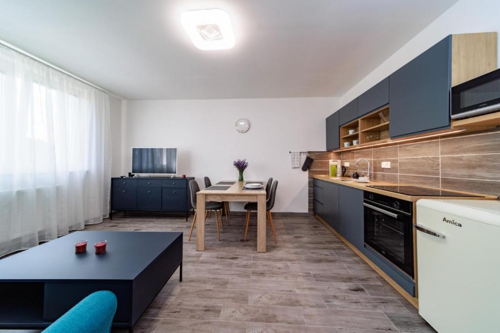 Kuchyň nebo kuchyňský kout v ubytování Apartmány JARO Česká Skalice