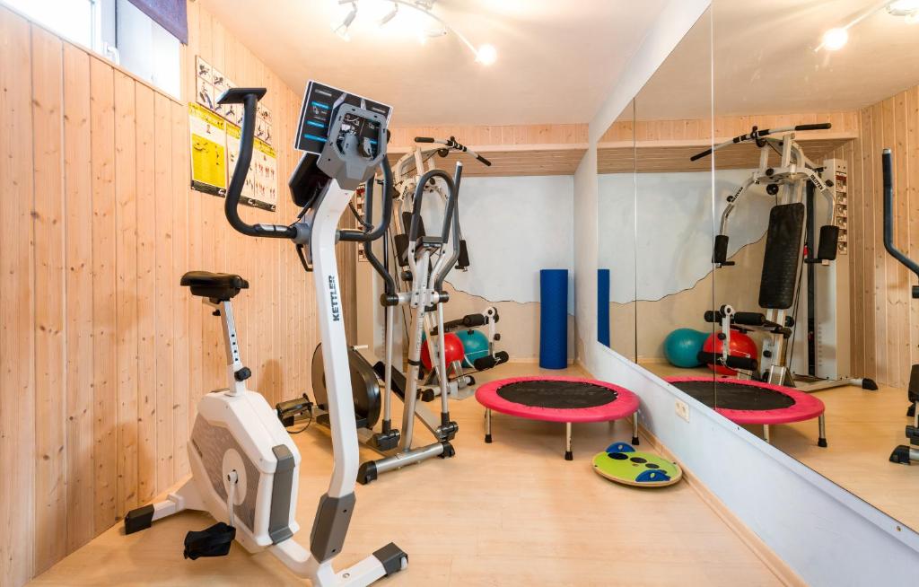 Fitness centrum a/nebo fitness zařízení v ubytování Landhaus Pichler