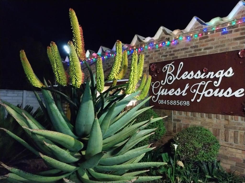 a succulent plant in front of a sign at Blessings Guesthouse in Newcastle