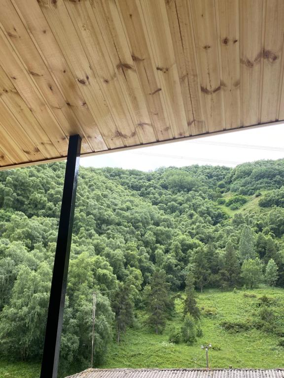 a view of a forest from the window of a house at Under the forest in Kazbegi