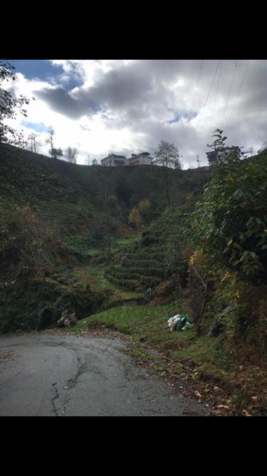 Rize de Seyir teraslı ev