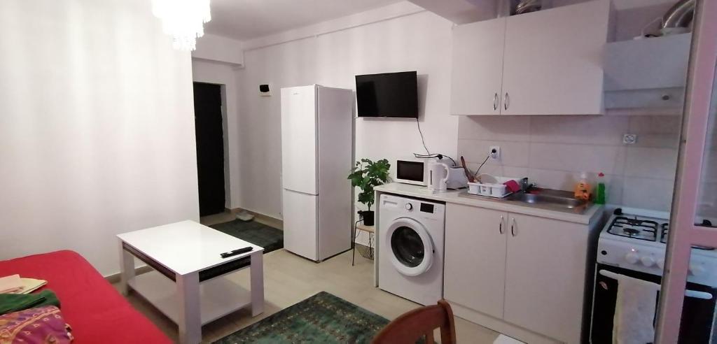 uma pequena cozinha com uma máquina de lavar roupa em A (cozy) place like HOME em Bucareste