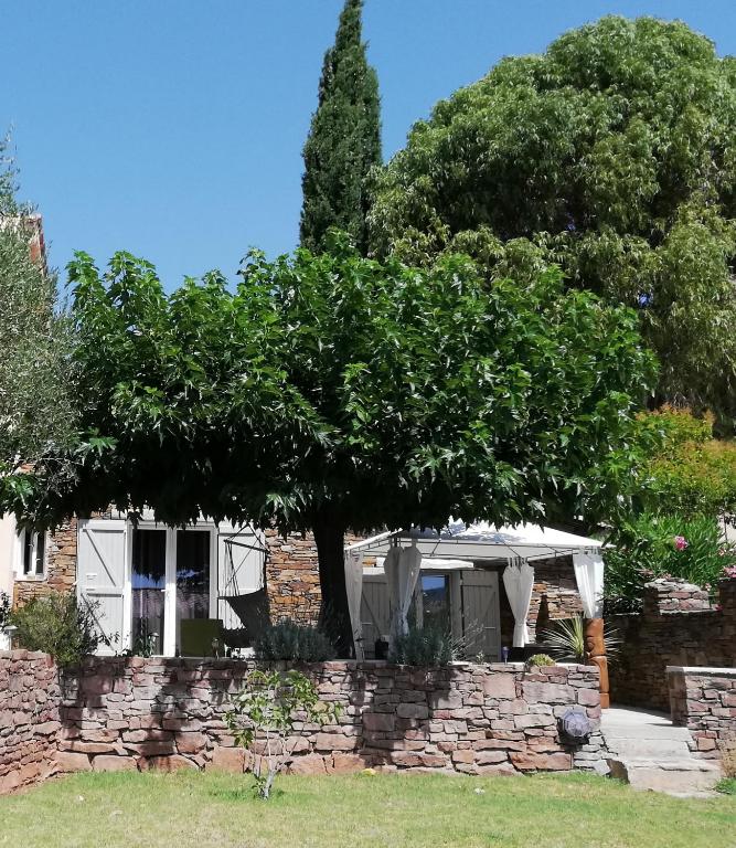 un arbre devant un mur de pierre dans l'établissement T2 de charme 55 m² au calme avec terrasse ombragée 40m2, à Carnoules