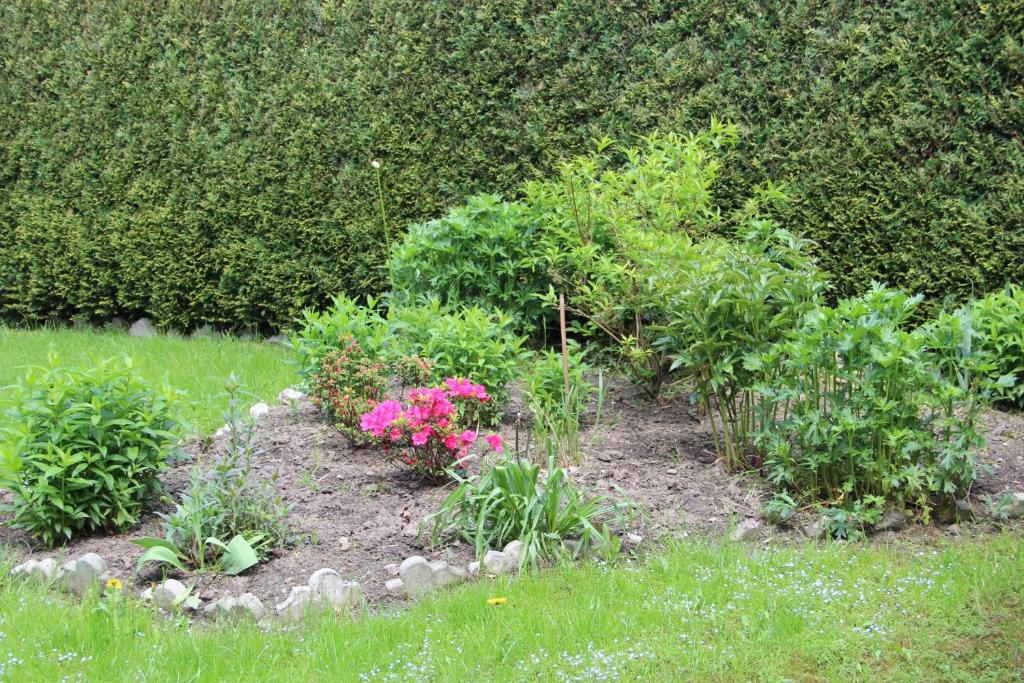 Zahrada ubytování Uroczy Domek Z Ogrodem I Tarasem
