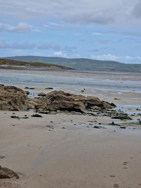 a beach with rocks on the sand and water at Shanadune in Tralee