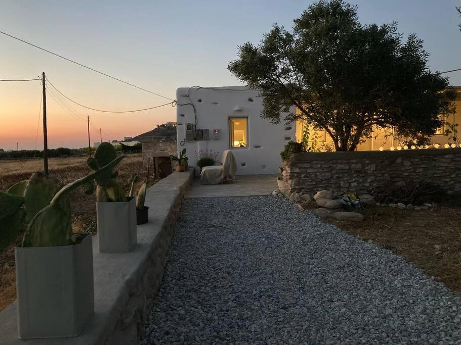 a white house with plants in front of it at A casa d’ Irene in Kampos Paros