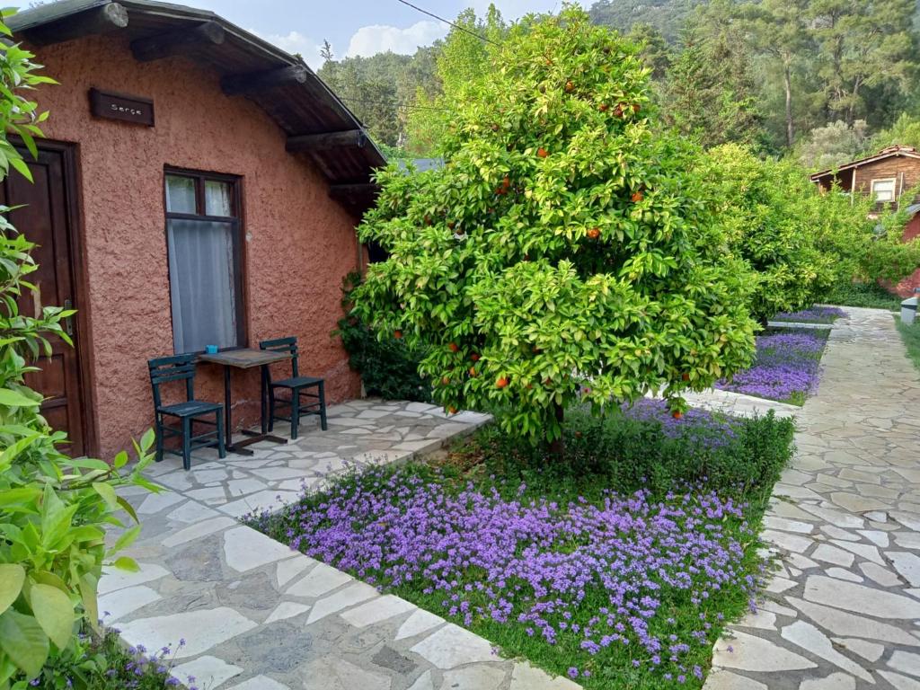 Zahrada ubytování Simurg Evleri Olympos