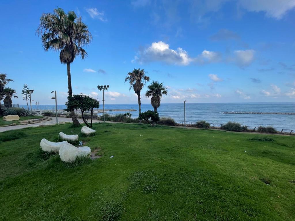 three sheep laying in the grass near the ocean at Luxury units by Hilton beach in Tel Aviv