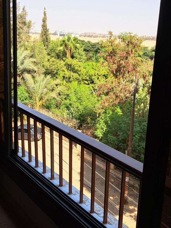 a balcony with a view of a forest at Panorama apartment with a charming view of Cairo International Airport All the apt for you with free airport pick up or drop off limousine شقة بانوراما بإطلالة ساحرة على مطار القاهرة الدولي in Cairo
