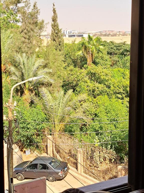 Unique apartment close to Cairo Airport with free dropoff to airport 开罗机场尊享公寓 免费送机 - 3