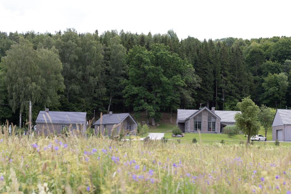 un grupo de casas y un campo con flores púrpuras en Utriai Guest Place, en Utriai