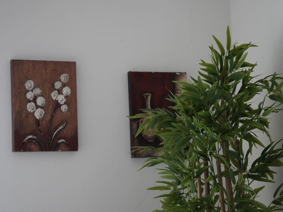 13°Bs*Toptani/City Center - Imazhi 7
