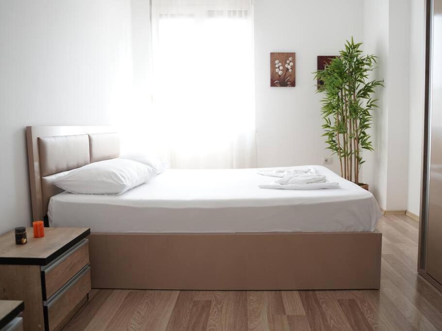 13°Bs*Toptani/City Center - Imazhi 5