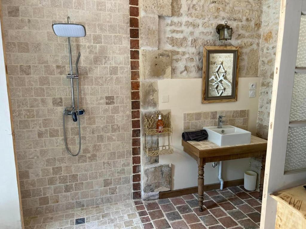 uma casa de banho com um lavatório e um chuveiro em Mini gîte royal em Sainte-Gemme-la-Plaine
