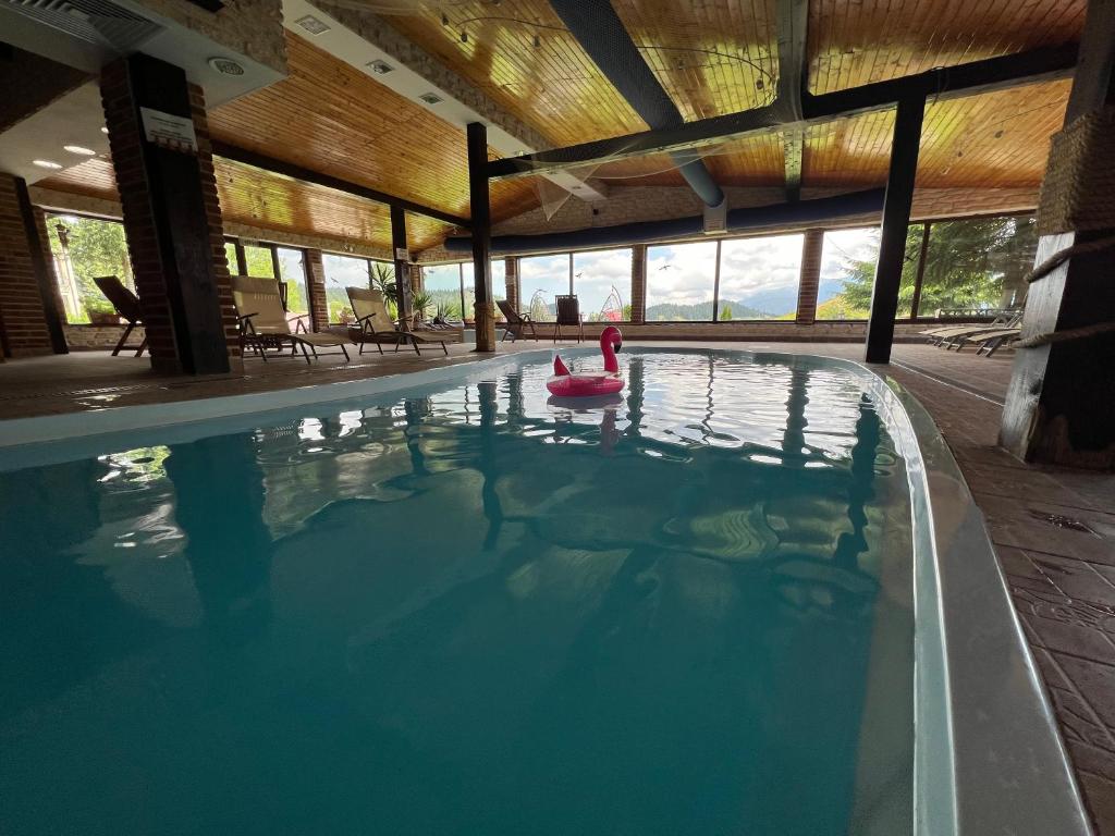 a swimming pool with a person in the water at Complex Padina Ursului Fundata in Fundata